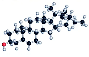 Beta-Sitosterol fitosterol bileşeni